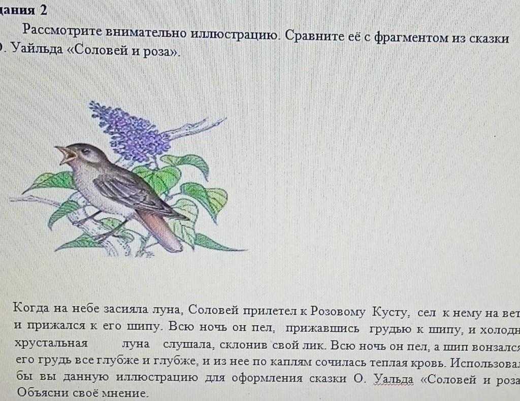 Соловей и роза 🐦 сказка для чтения детям на ночь оскара уайльда