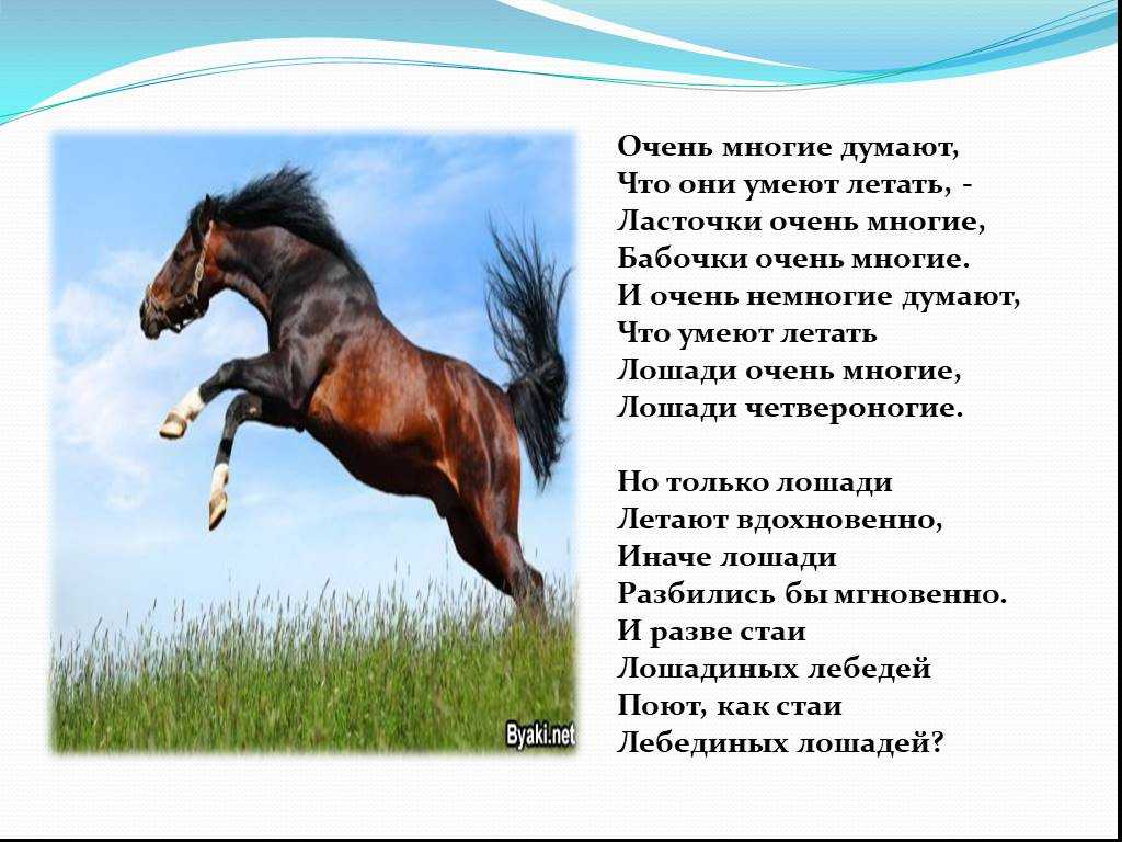 Скачут кони стихотворение. Стихи про лошадей. Стих про коня. Стихотворение про лошадь. Стих про лошадь для детей.