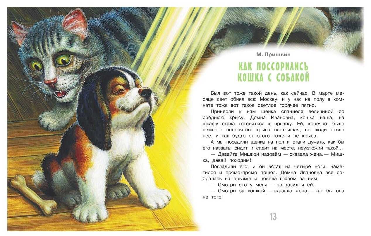 Котик сказка читать. Рассказы про собак для детей. Сказка про кота. Сказка про кошку и собаку. Кошки в сказках.