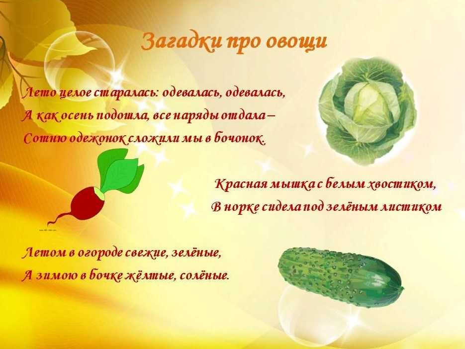 Интересные загадки с ответами для малышей 3, 4, 5, 6 и 7 лет