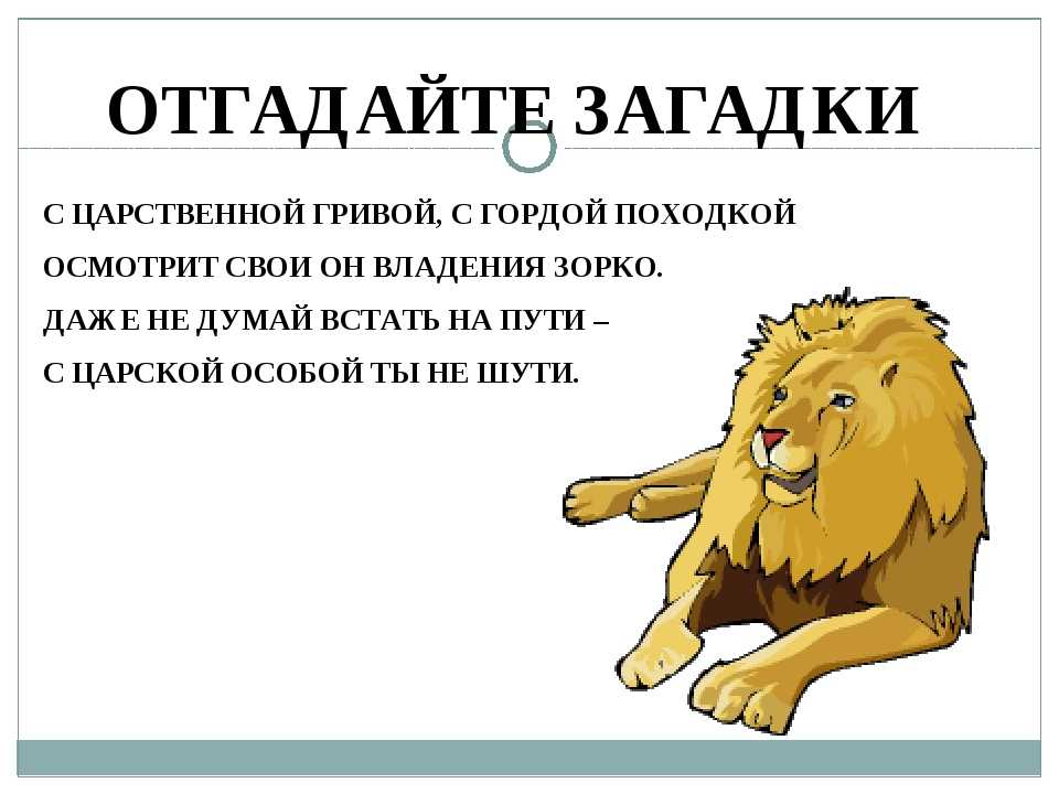 Лев с 1 по 7 апреля 2024. Загадка про Льва. Детские стихи про Льва. Стих про Льва для детей. Стихи про Львов для детей.