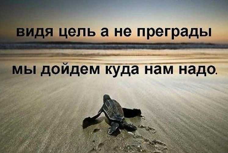 Жизнь идет не по плану