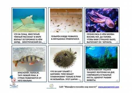 Загадки про речных и морских обитателей (40 штук)