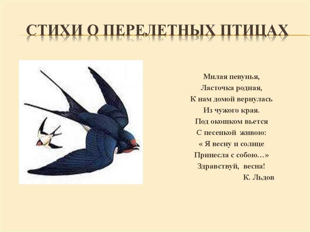 Стихи про птиц для детей 6-7 лет для заучивания наизусть