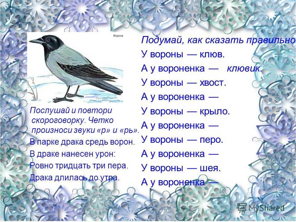 Загадки про птиц для детей с ответами - загадки про зимующих птиц, про ворону, про голубя, синицу, орла, павлина, грача, чайку, воробья - na5.club