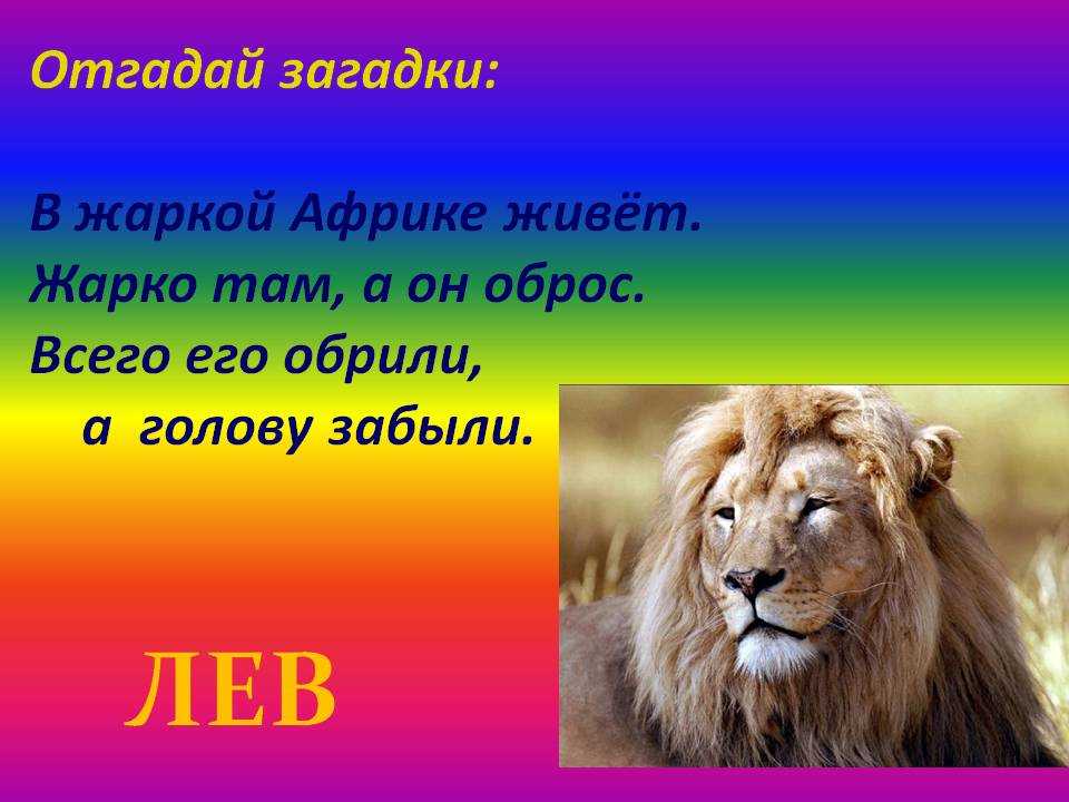 1 июля лев. Загадка про Льва. Загадка про Льва для детей. Загадки про Львов. Загадки про Львов для детей.