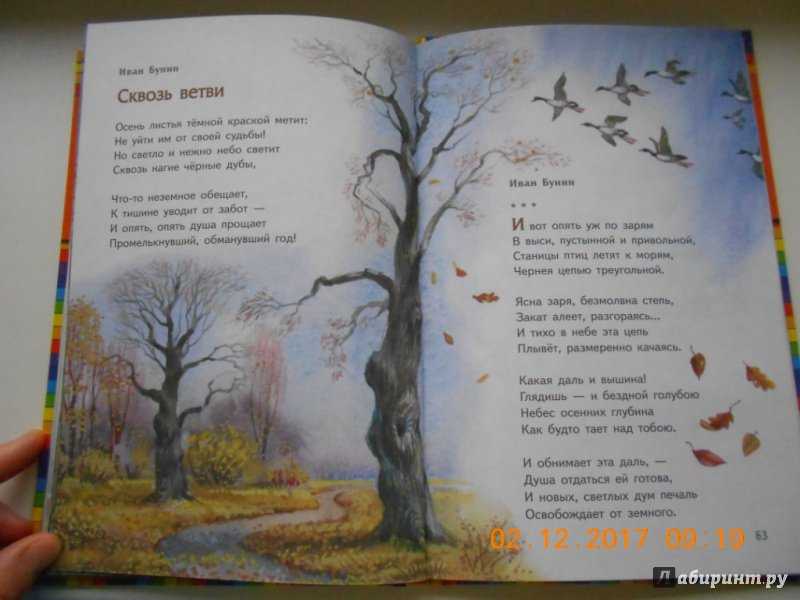 Короткие стихи про осень: красивые русских поэтов маленькие, небольшие стихотворения для детей - рустих