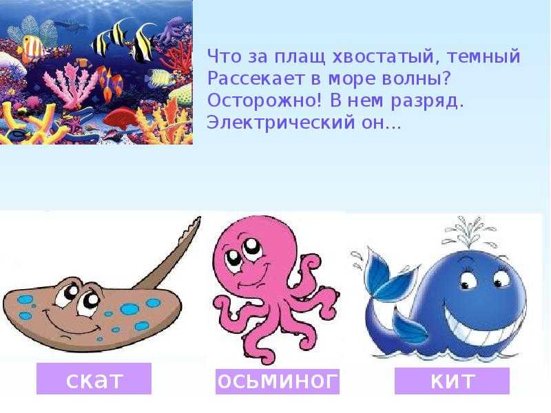 Загадки про рыб, речных, морских и аквариумных для детей с ответами: 130 лучших / mama66.ru