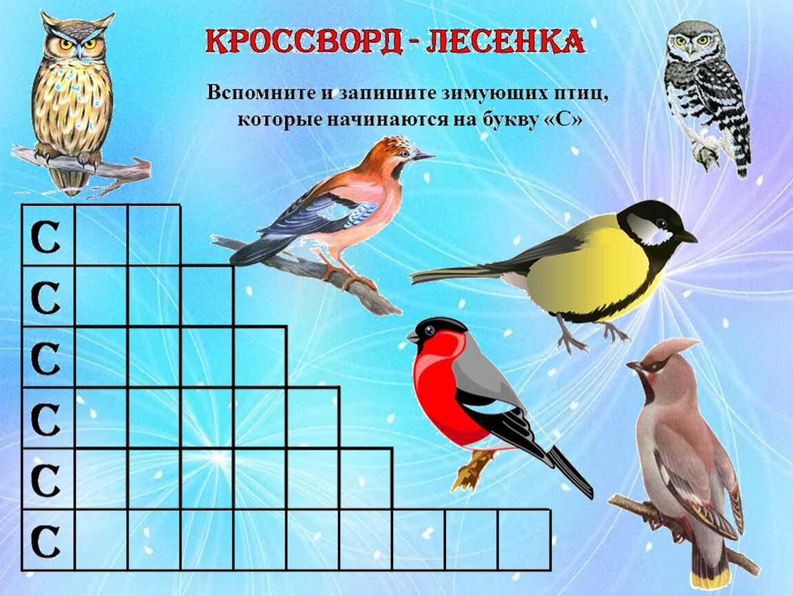 Тест птицы 8 класс с ответами. Зимующие птицы для детей. Зимующие птицы для дошкольников. Кроссворд птицы для дошкольников.