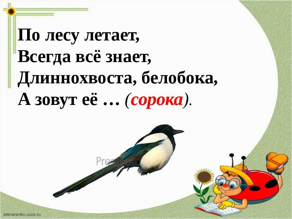 Загадки для детского квеста и ребусы: более 25 идей