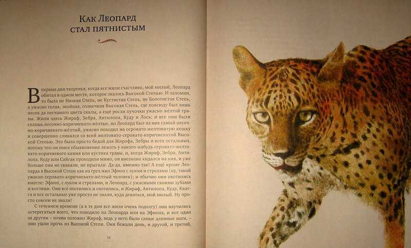 Сказки киплинга : как леопард получил свои пятна