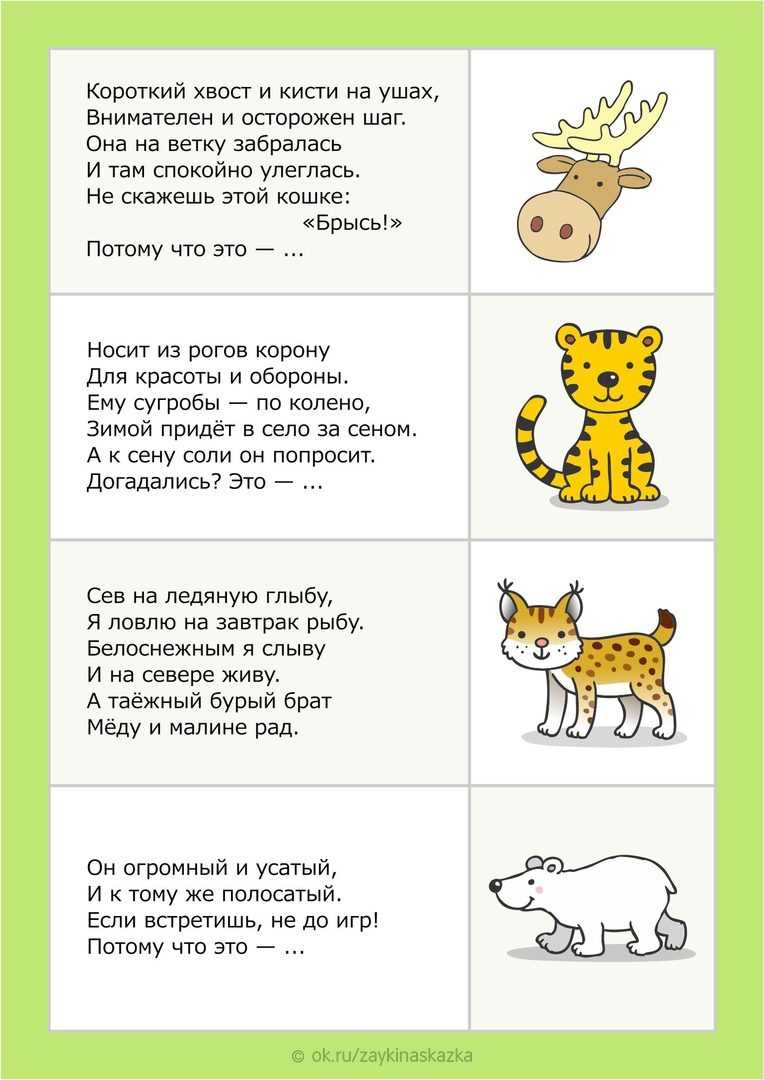 Загадки про диких и домашних животных с ответами для 1-4 класса