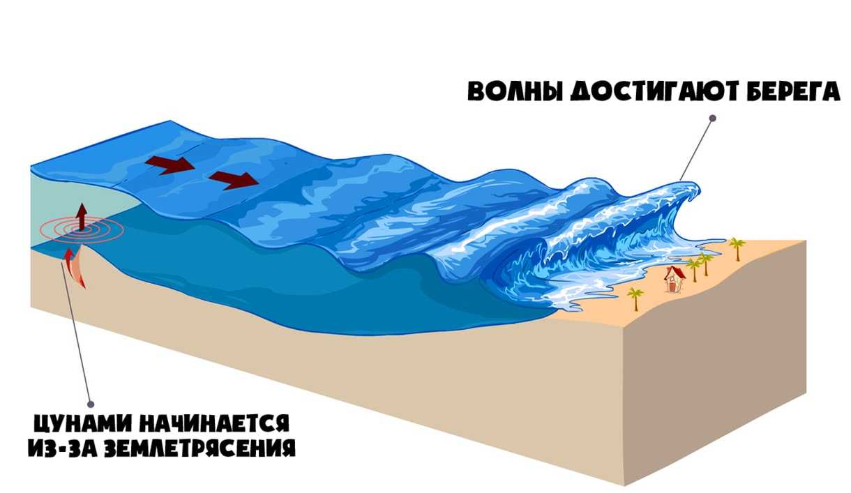 Схема образования цунами. Процесс образования ЦУНАМИ схема. ЦУНАМИ от землетрясения схема. ЦУНАМИ подводное землетрясение