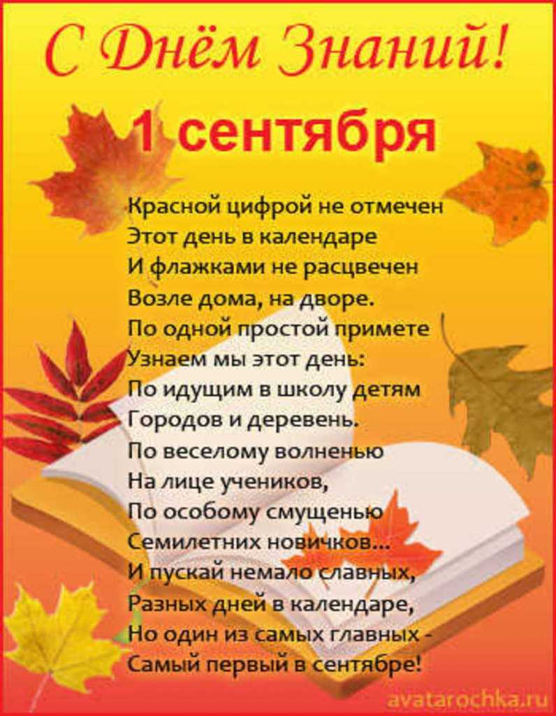 Стихи про учителей: красивые, трогательные до слез и смешные