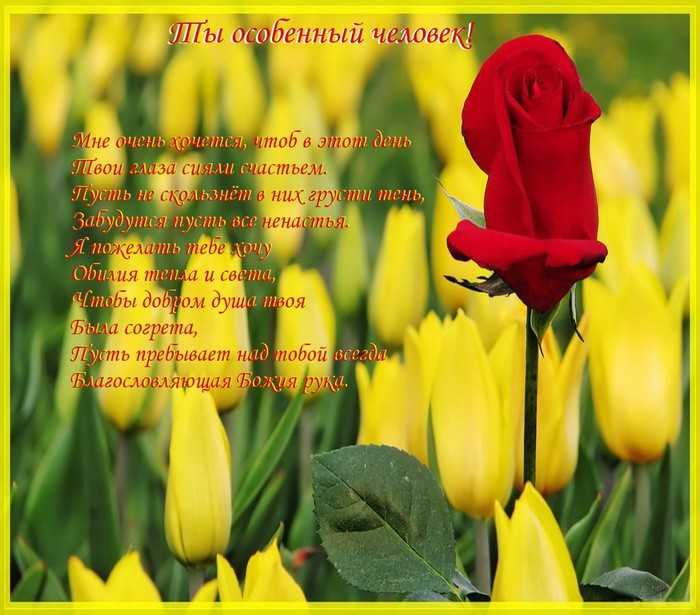 Стихотворения про цветы для дошкольников