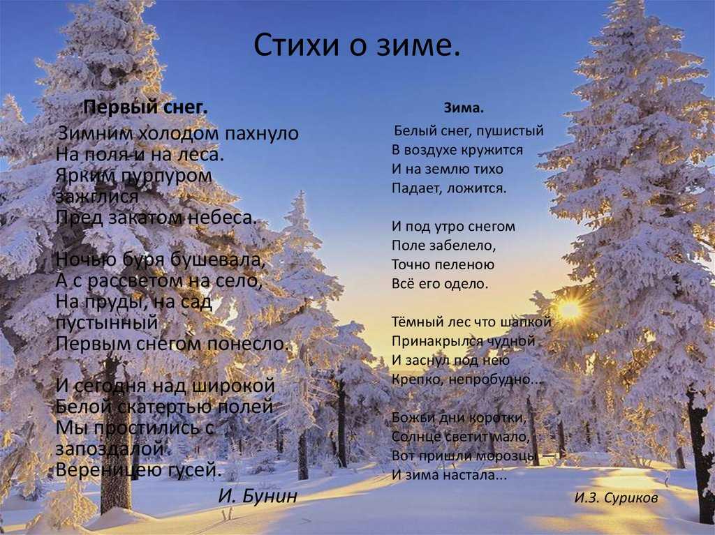 Стихи про зиму — подборка лучших стихотворений для детей и взрослых