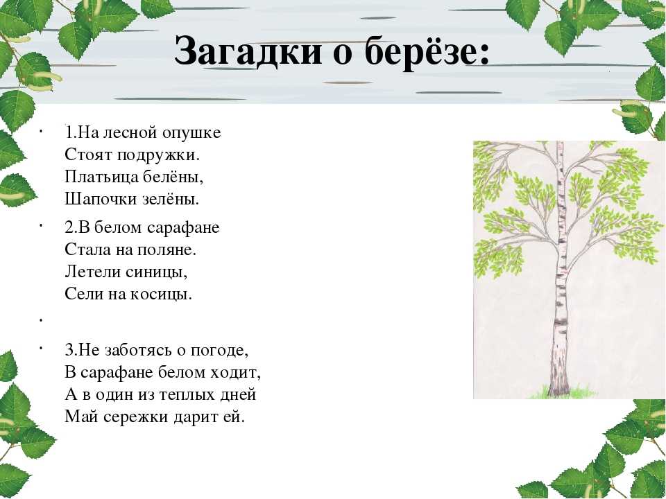 Загадки о природе   | материнство - беременность, роды, питание, воспитание