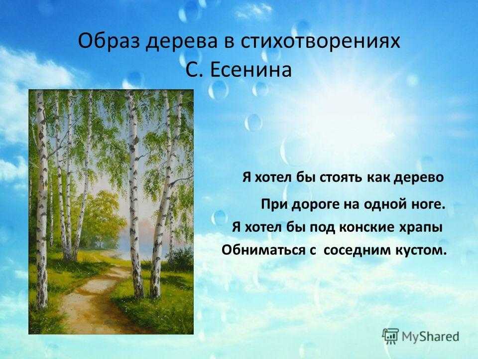 Стихи про осень - лучшие стихотворения об осени