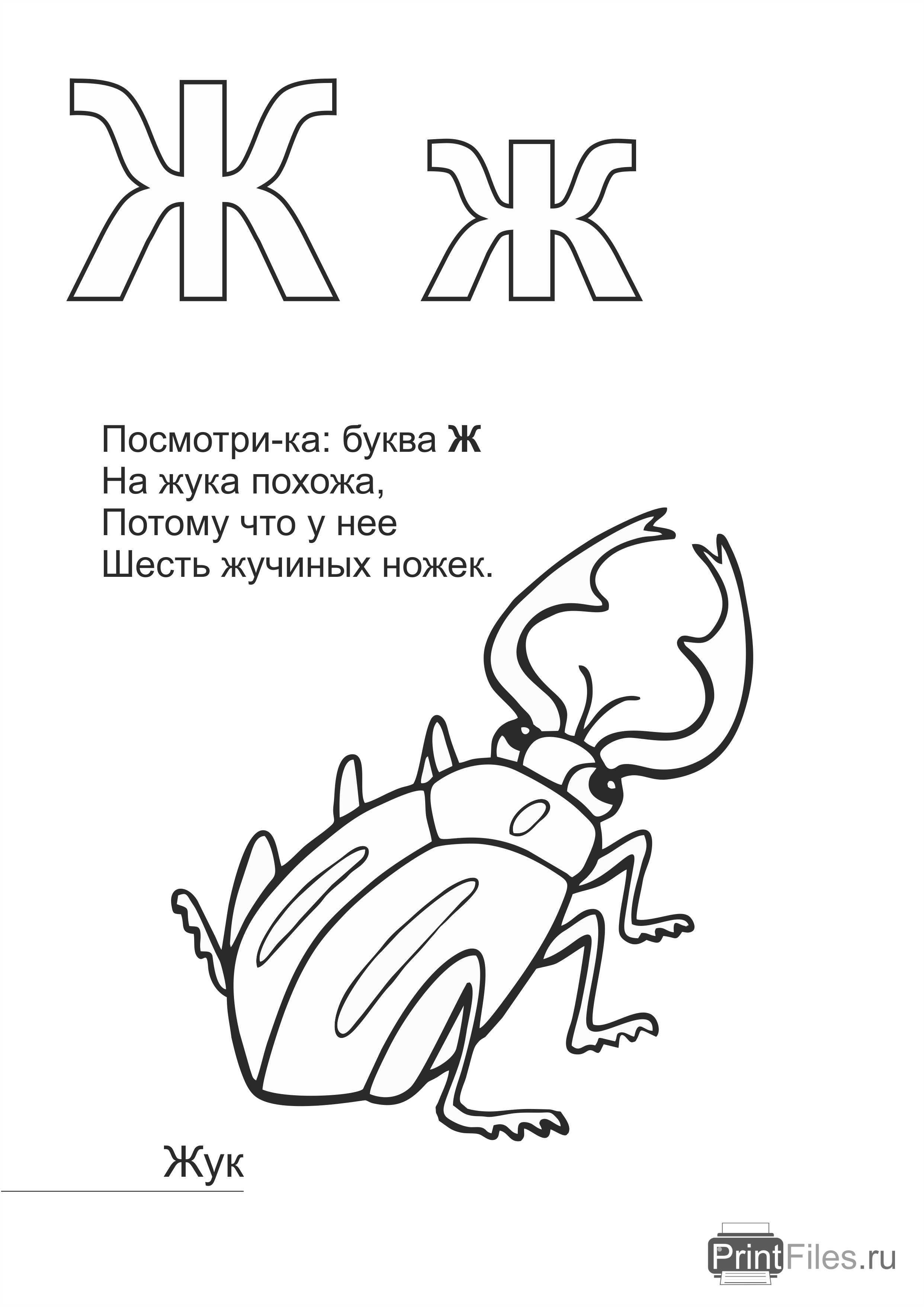 На что похожа буква ж в картинках для детей