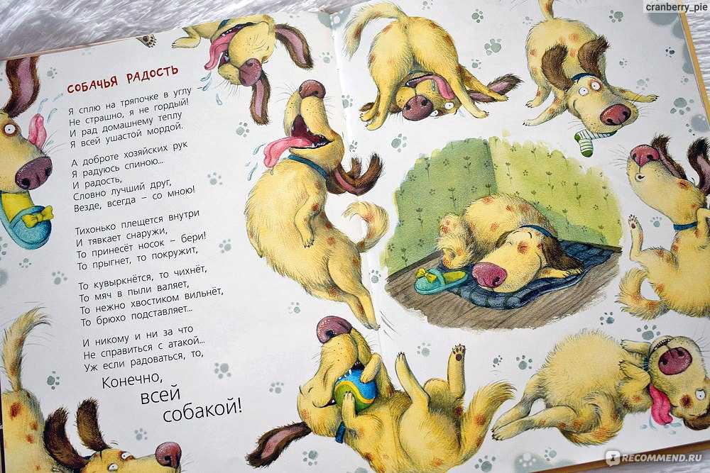 Короткие стихи про собаку для детей