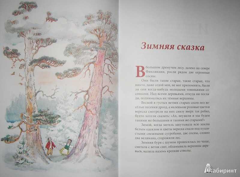 Зимняя сказка (сборник) - топелиус с. - страница 9