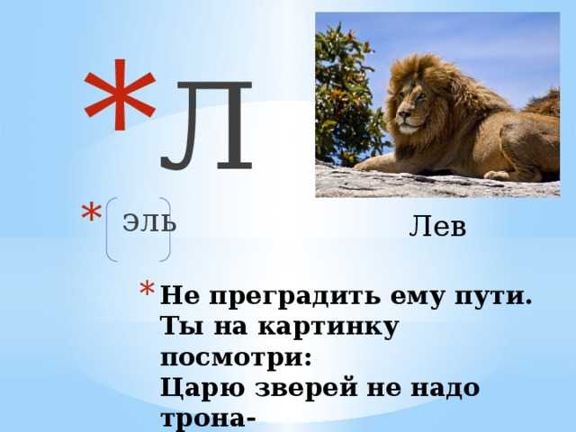 Лучшие загадки для детей 5-6 лет с ответами (можно распечатать!)