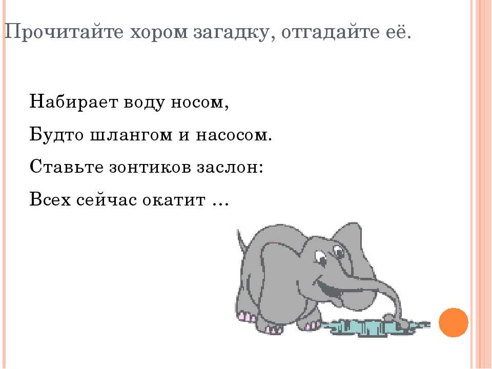 Загадки про слона для детей