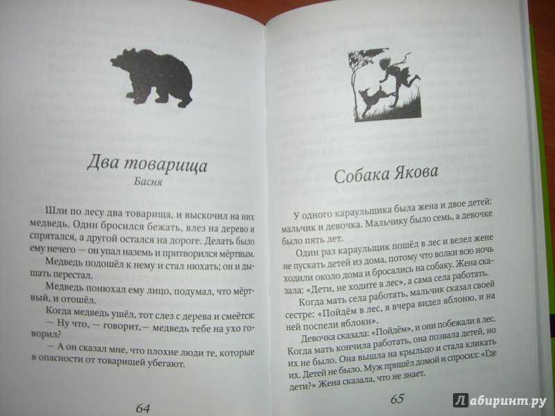 «два товарища» — читательский дневник по рассказу льва толстого