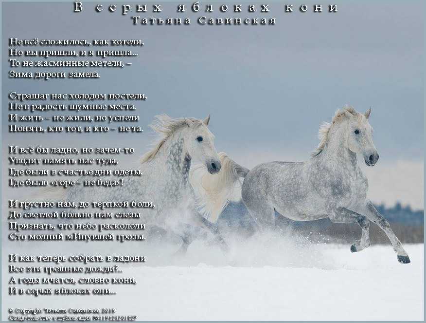 Конь слова и музыка авторы. Стихотворение про коня. Стихи про лошадей. Стих про лошадку. Стихи про лошадей красивые.
