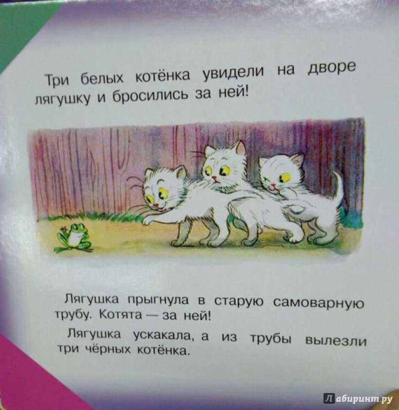 Песня жили котята. Рассказ 3 котенка Сутеев. Рассказ Сутеева три котенка. Сказка Сутеева три котенка текст.