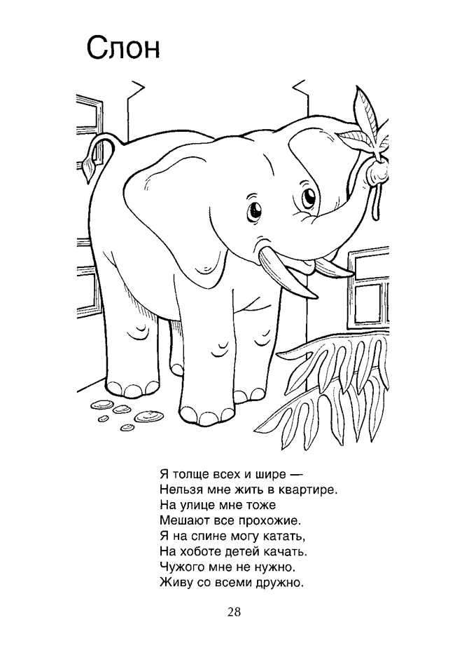 Интересные загадки про слона