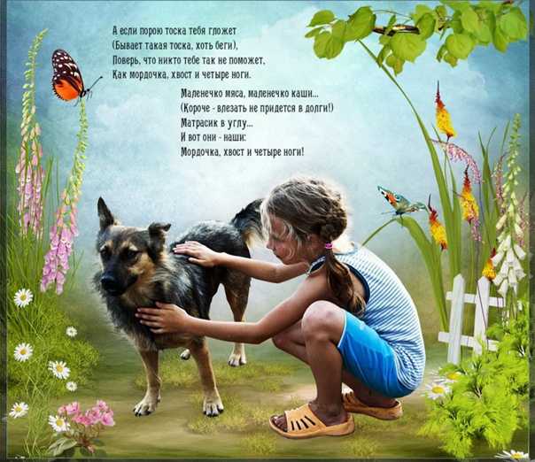 Короткие стихи про собаку для детей -