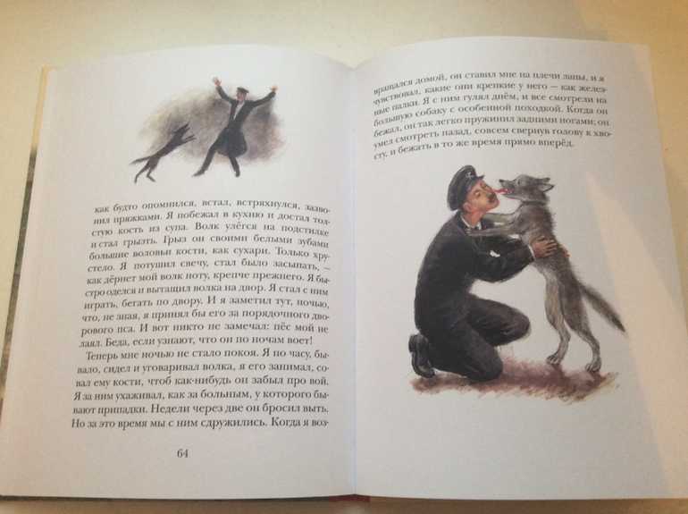 Про обезьянку читать полностью. Рассказы о животных Житков про обезьянку. Житков рассказы о животных волк иллюстрации.