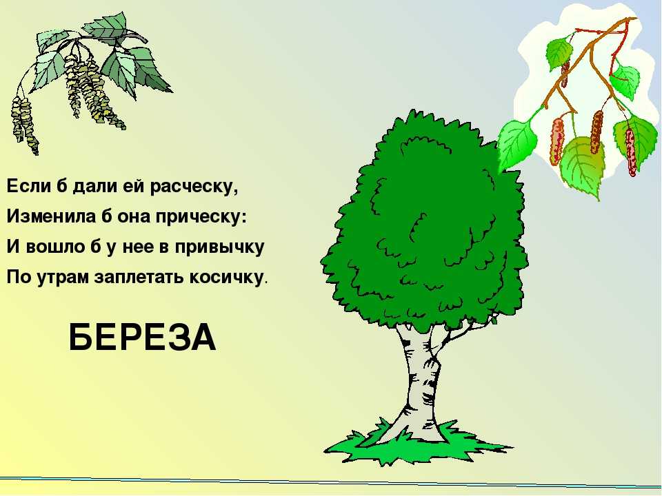 Дерево в древней руси: дуб, береза, яблоня. дерево в русских сказках. поверья о деревьях. какие деревья оберегают?