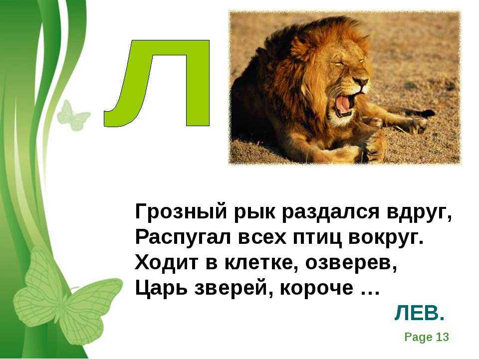 60 интересных загадок про кошку для детей с ответами
