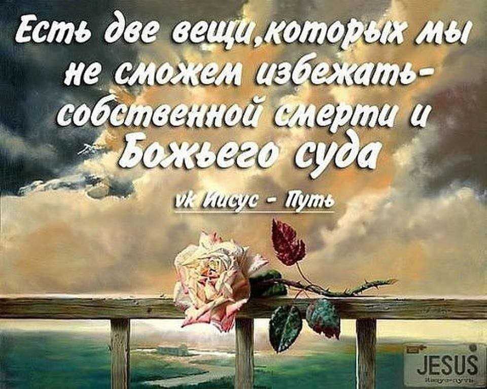 Стихи берущие за душу о жизни и любви | красивые стихотворения со смыслом, трогательные до слез для женщины, мужчины