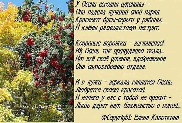 100 лучших детских стихов про осень: красивые стихи