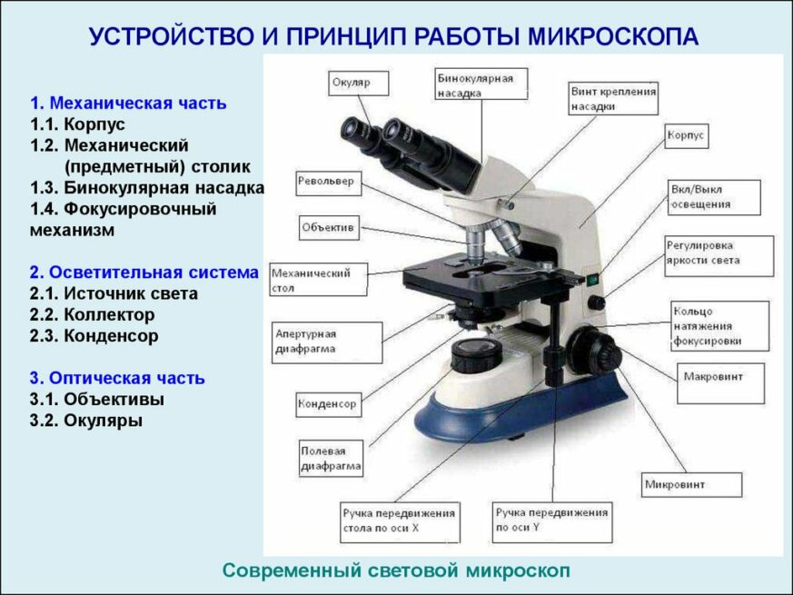 Микроскоп Olympus SZ51: впечатляющее качество изображения и простота использования